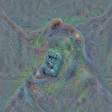n02480855